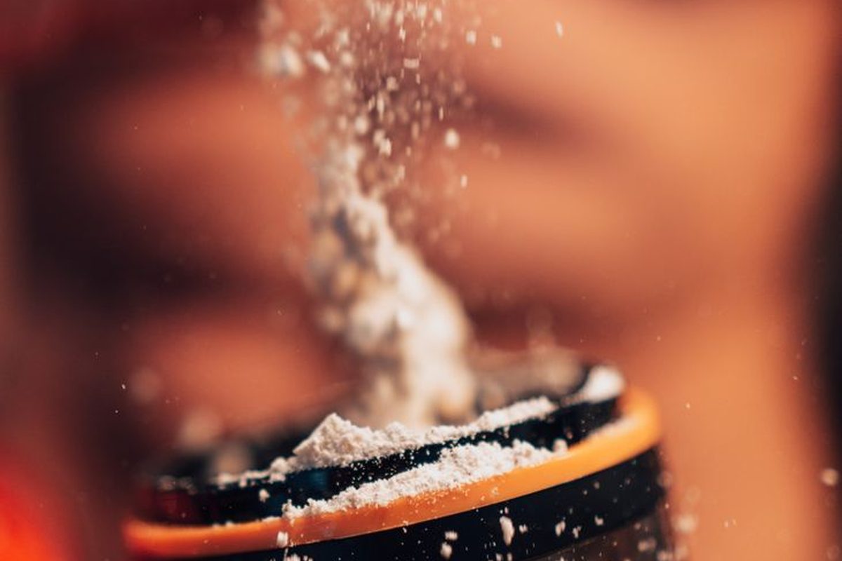 Plant protein powder